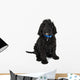 Black Labradoodle Puppy Dog Wall Decal