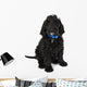 Black Labradoodle Puppy Dog Wall Decal