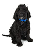 Black Labradoodle Puppy Dog Wall Decal