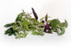 Catnip Red Basil Lemon Wall Decal