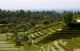 Bali 0186 Wall Decal