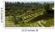 Bali 0186 Wall Decal