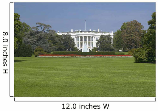 White House South Lawn Wall Decal