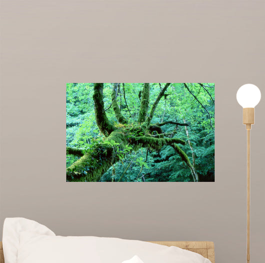 Tentacle Wall Decal