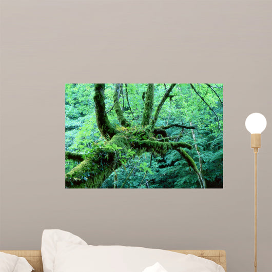 Tentacle Wall Decal