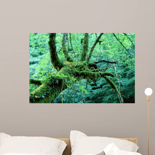 Tentacle Wall Decal