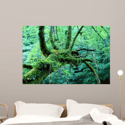 Tentacle Wall Decal