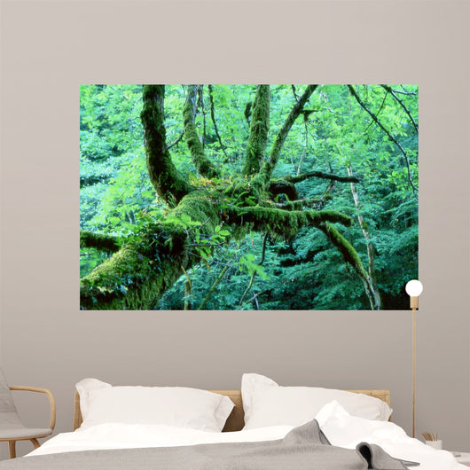 Tentacle Wall Decal