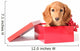 Cute Dachshund Puppy Red Wall Decal