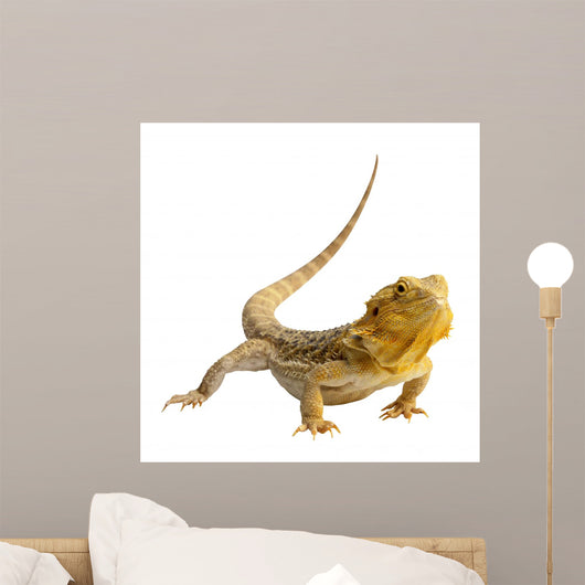Iguana Wall Decal