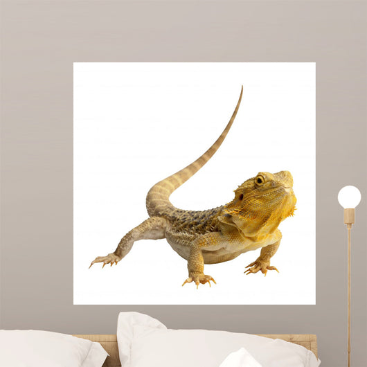 Iguana Wall Decal
