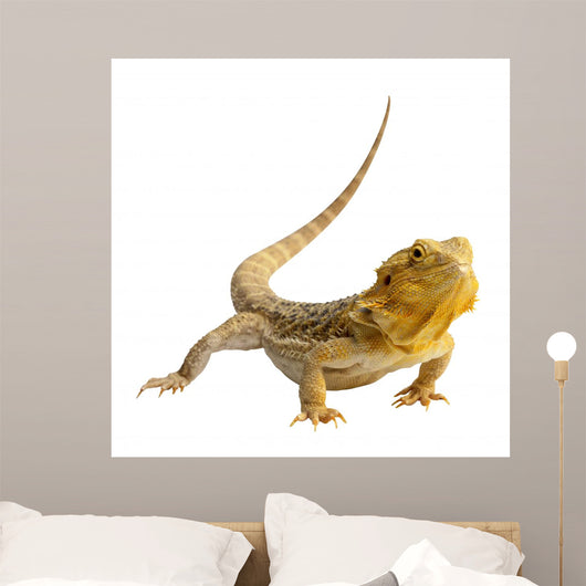 Iguana Wall Decal