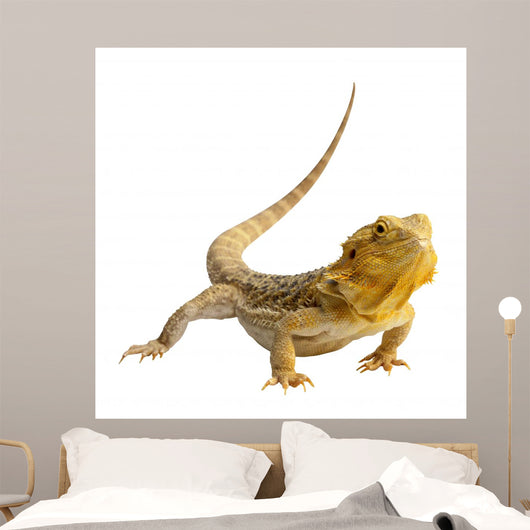 Iguana Wall Decal