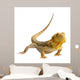 Iguana Wall Decal