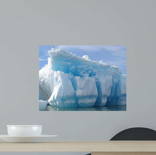 Iceberg Wall Decal