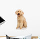 Nice Poodle Dog Wall Decal