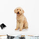 Nice Poodle Dog Wall Decal