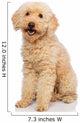 Nice Poodle Dog Wall Decal