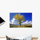 Cottonwood Tree Fall Colors Wall Decal