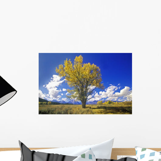 Cottonwood Tree Fall Colors Wall Decal