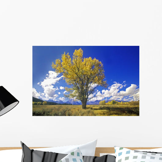 Cottonwood Tree Fall Colors Wall Decal