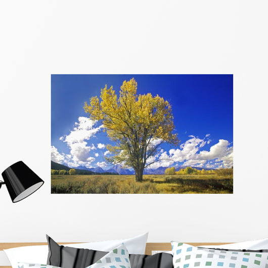 Cottonwood Tree Fall Colors Wall Decal