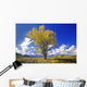 Cottonwood Tree Fall Colors Wall Decal