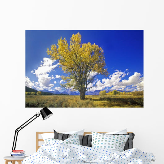 Cottonwood Tree Fall Colors Wall Decal