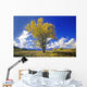 Cottonwood Tree Fall Colors Wall Decal