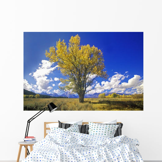 Cottonwood Tree Fall Colors Wall Decal