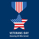 Veterans Day Flat Medals Wall Decal