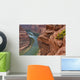 Horseshoe Bend Wall Decal