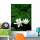 Blossom Lotus Flower Wall Decal