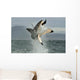 Great White Shark Breaching Wall Decal