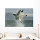Great White Shark Breaching Wall Decal