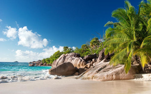 Seychelles Exotic French Beach Wall Decal