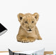 Lion Cub Front White Wall Decal