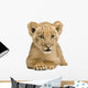 Lion Cub Front White Wall Decal