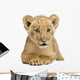 Lion Cub Front White Wall Decal