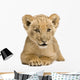 Lion Cub Front White Wall Decal