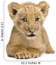Lion Cub Front White Wall Decal