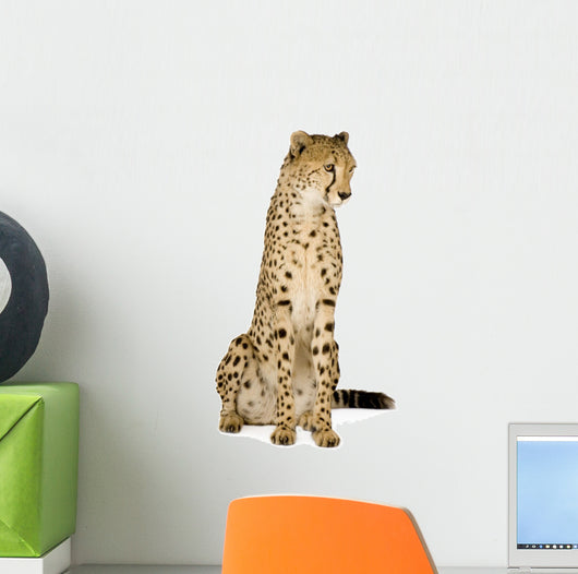 Cheetah Front White Wall Decal