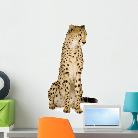 Cheetah Front White Wall Decal