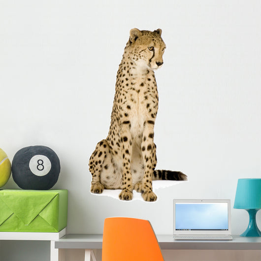 Cheetah Front White Wall Decal