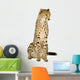 Cheetah Front White Wall Decal