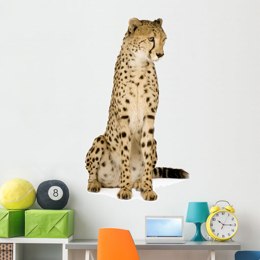 Cheetah Front White Wall Decal