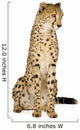 Cheetah Front White Wall Decal