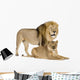 Lioness 8 Years Wall Decal