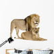 Lioness 8 Years Wall Decal