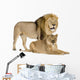 Lioness 8 Years Wall Decal